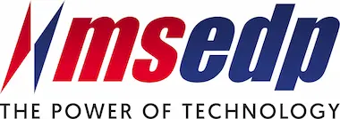 MSEDP WEB logo